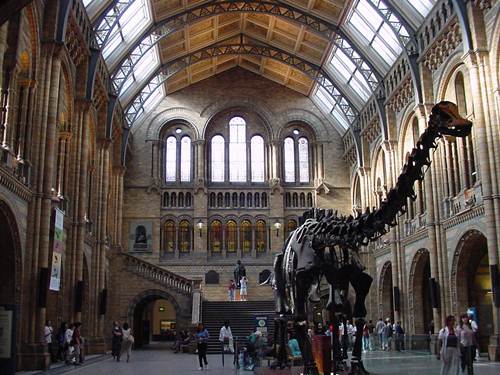 Museo de Historia Natural Londres