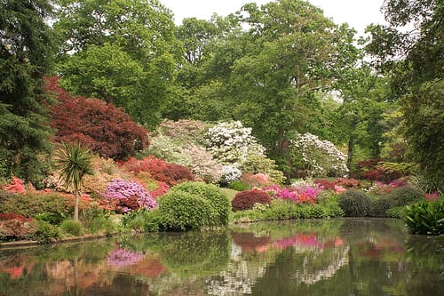 Los Jardines de Exbury, el color del romanticismo
