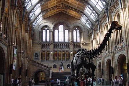 Visita al Museo de Historia Natural de Londres con niños