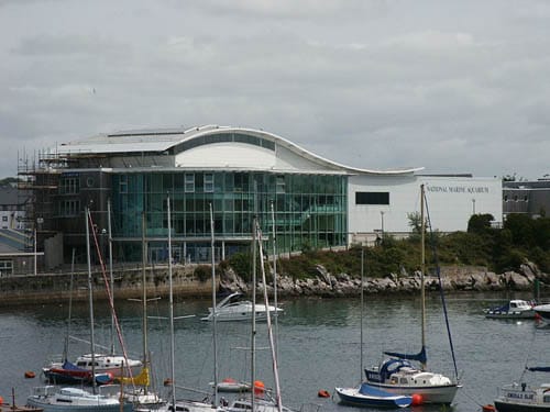 El Acuario Marino Nacional, en Plymouth El Acuario Marino Nacional, en Plymouth