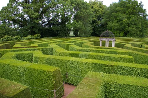 Amazing Hedge Puzzle, el mejor laberinto de Inglaterra