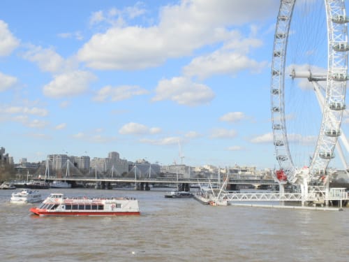Crucero en torno al London Eye