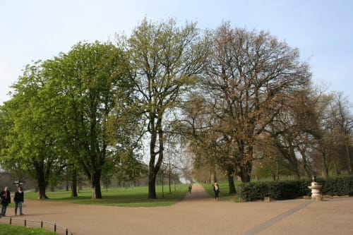 Kensington Park, refugio real